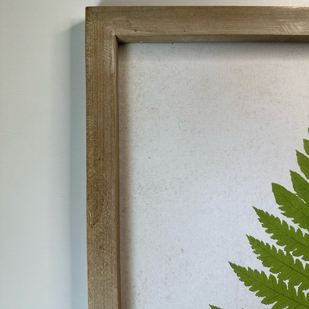 New Framed Green Fern Botanical Minimalistic Modern Herbal Wall Art - Picture 5 of 7